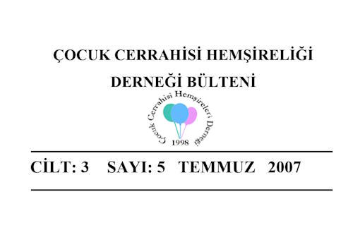 2007 Temmuz Bülteni