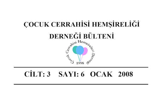 2008 Ocak Bülteni