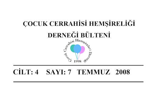 2008 Temmuz Bülteni