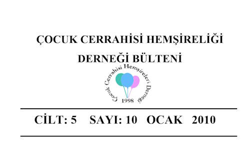 2010 Ocak Bülteni