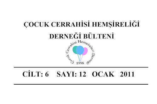 2011 Ocak Bülteni
