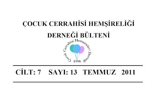2011 Temmuz Bülteni