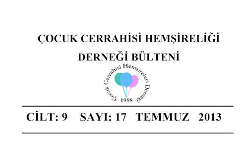 2013 Temmuz Bülteni