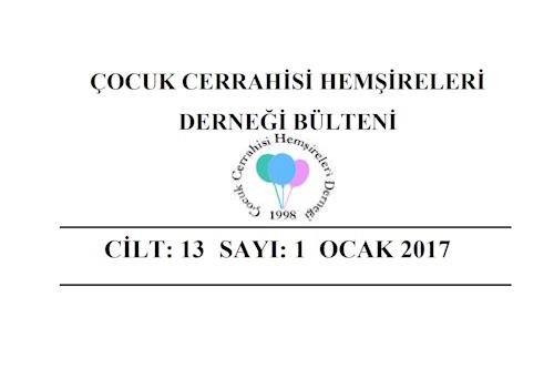 2017 Ocak Bülteni