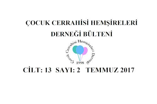 2017 Temmuz Bülteni