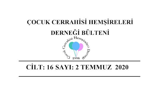 2020 Temmuz Bülteni