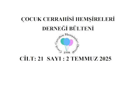 2025 Temmuz Bülteni